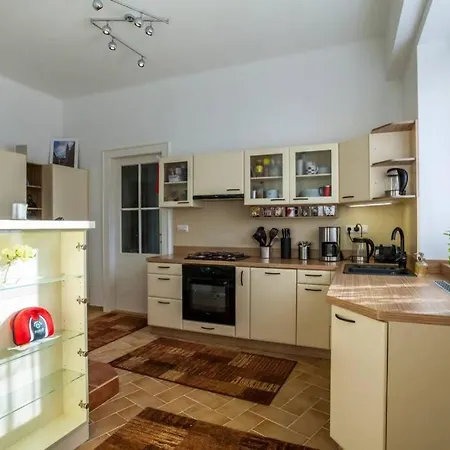 Luxury Air-conditioned Family Spitalska Old Town *